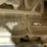 20210709_133923332_iOS