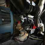 20210727_152013884_iOS