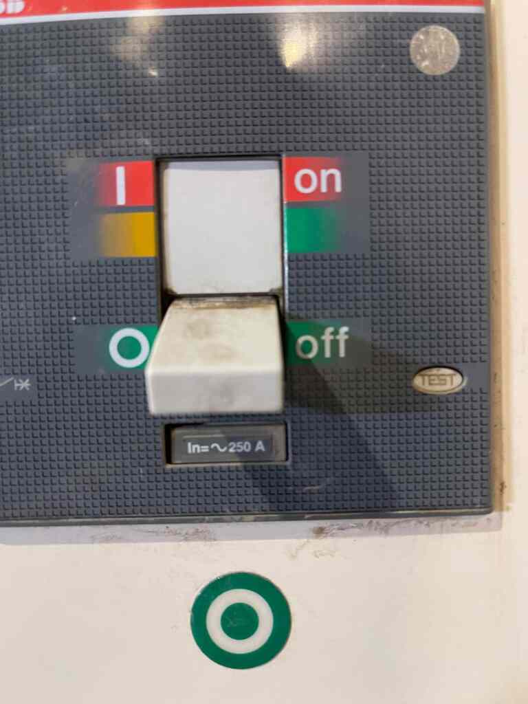 20210809_172510741_iOS