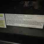 20210727_150741073_iOS