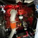 20210806_145754481_iOS