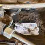 20220106_184920196_iOS