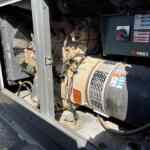 Wacker Neuson G50 Trailer Mounted Diesel Generator- Tier 3