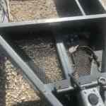 Rajysan Tandem Axle Generator Trailer