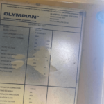 Olympian G100F1 Standby Natural Gas Generator