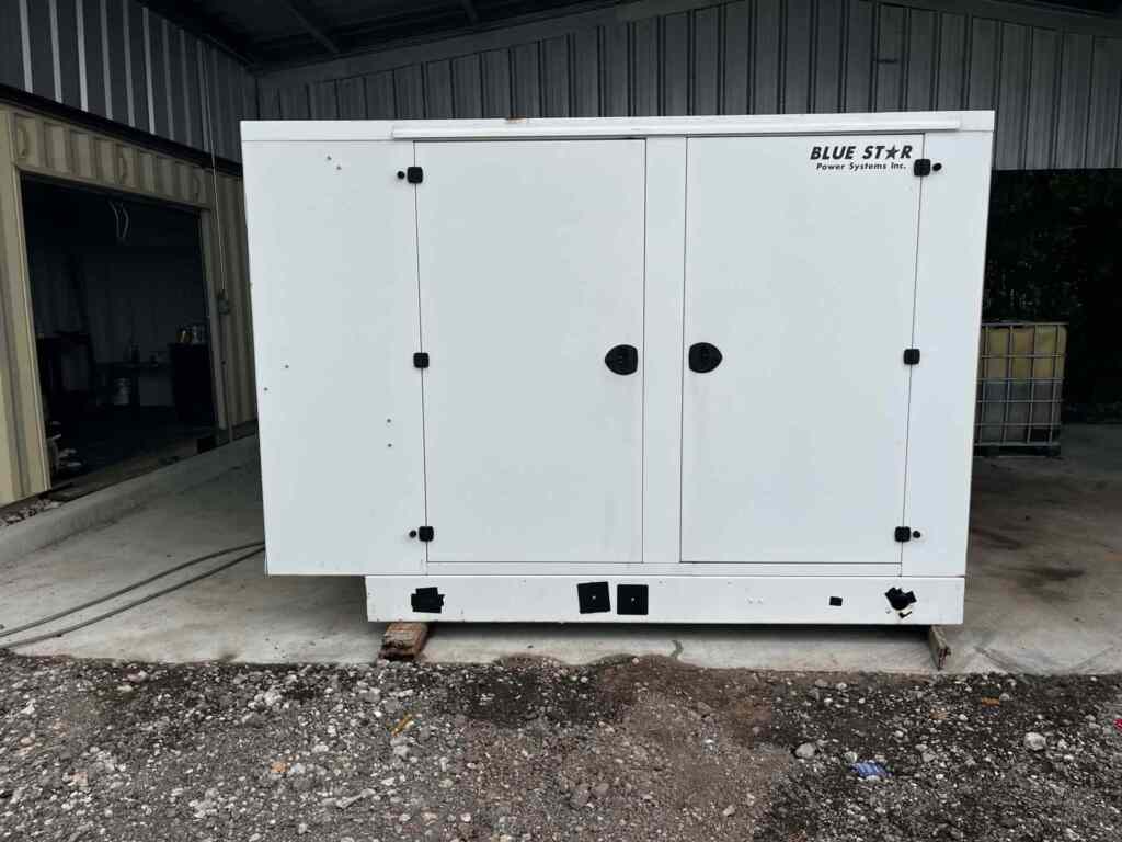 Blue Star GM100-03 Standby Gas Generator