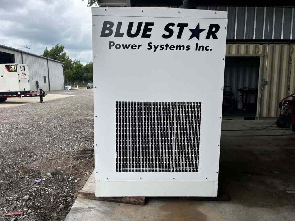 Blue Star GM100-03 Standby Gas Generator