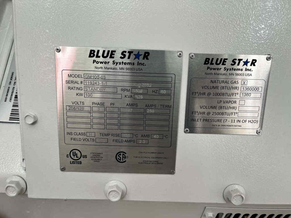 Blue Star GM100-03 Standby Gas Generator