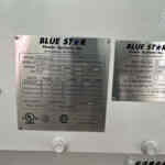 Blue Star GM100-03 Standby Gas Generator