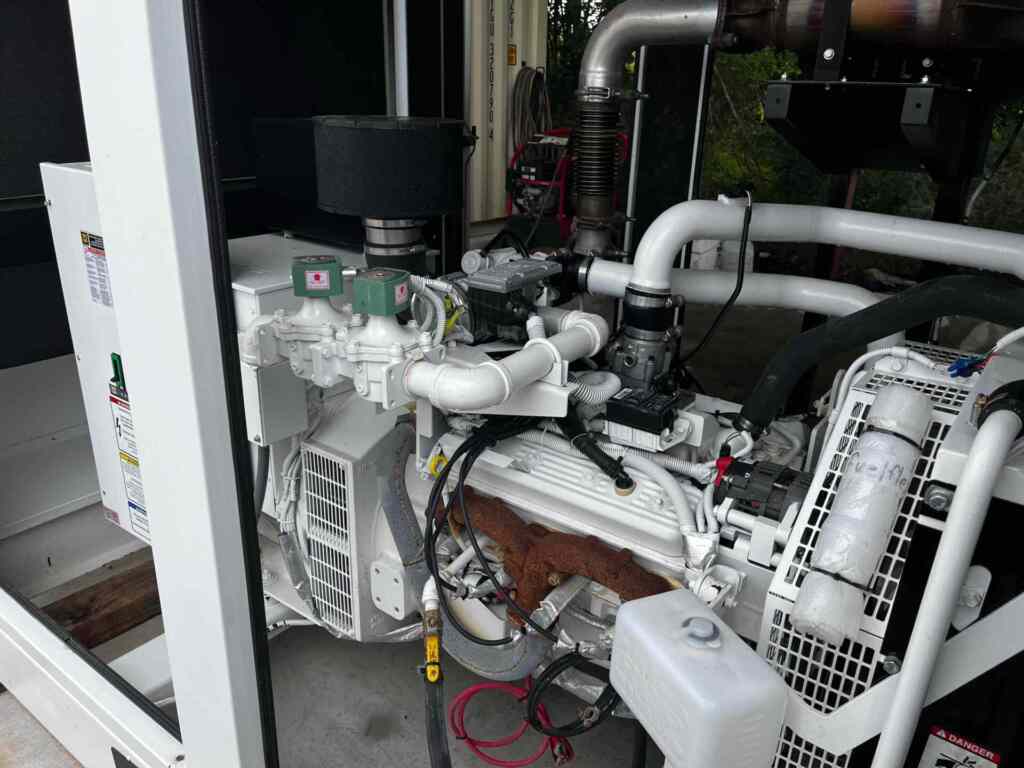 Blue Star GM100-03 Standby Gas Generator